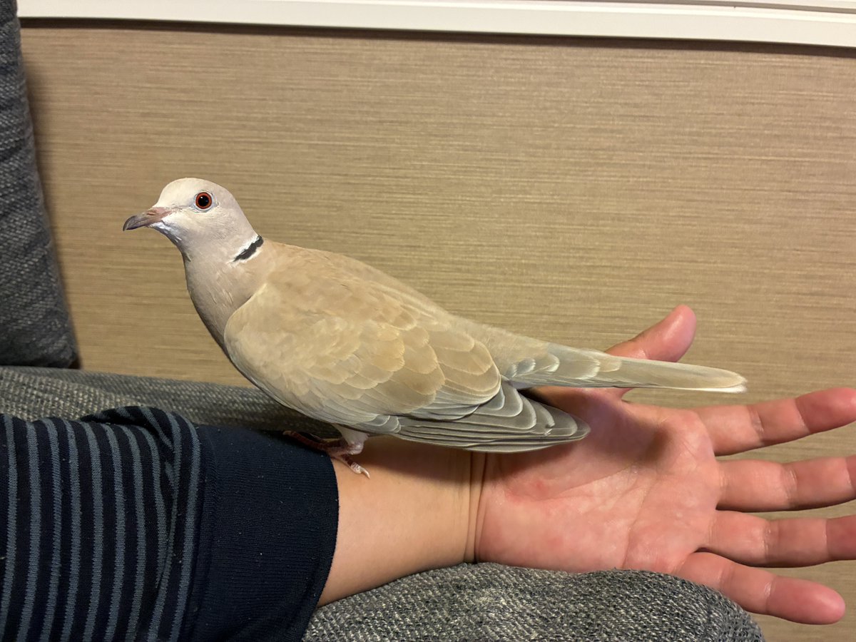 かわいいわね🥰