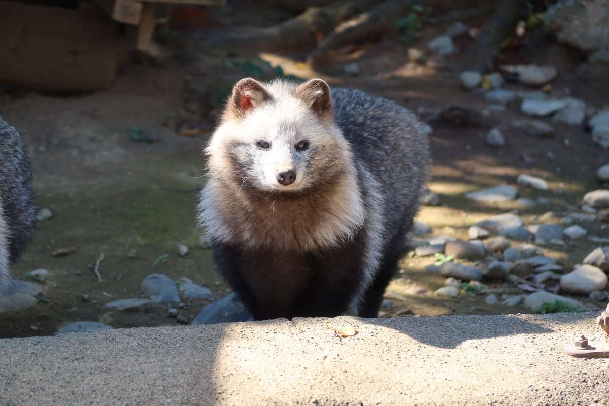 うめさん＠ありがとうみさき公園ずっと大好きです。 on X