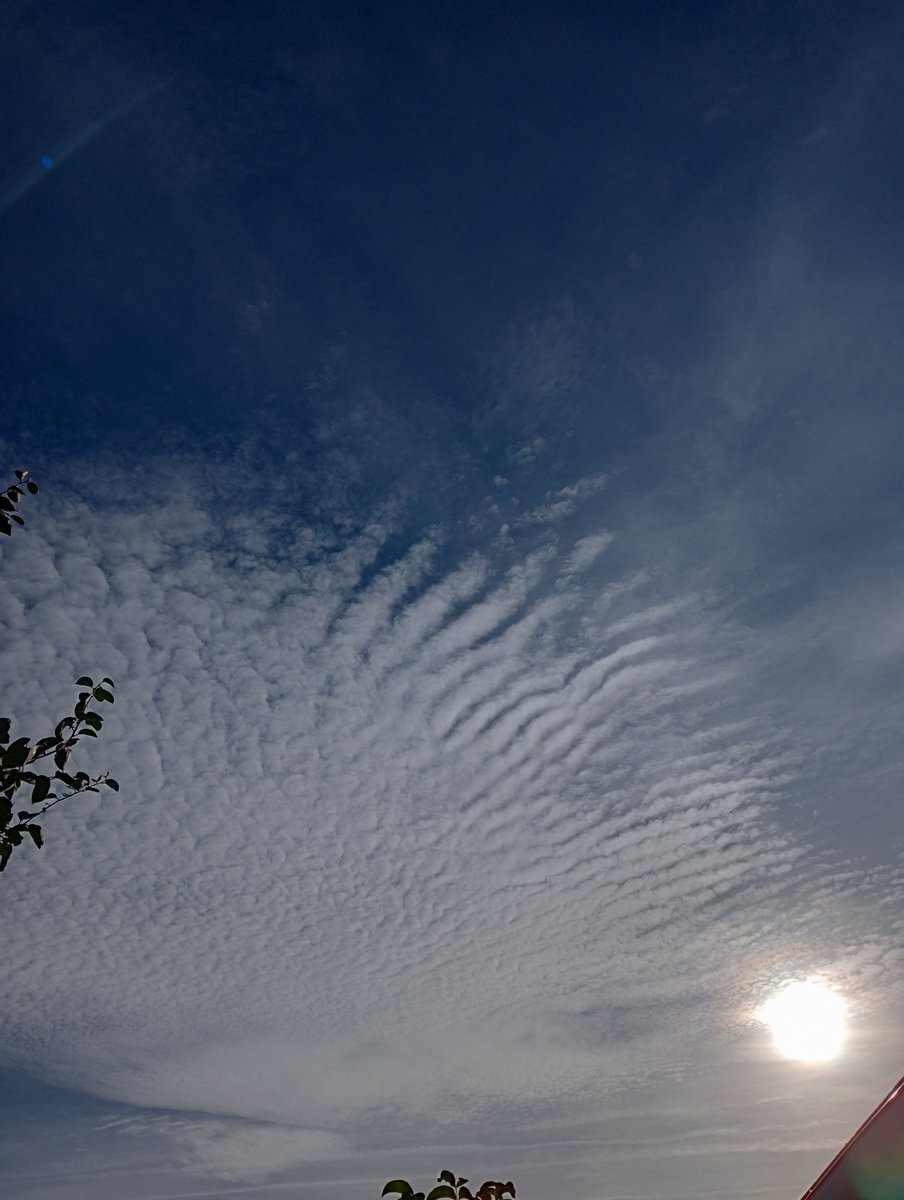 Lavante21575499's tweet image. More Netherlands, October 4th. #geoengineering #HAARP #NEXRAD #DOPPLER 🤬🤬