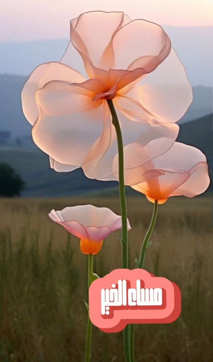 50__82 (@fati128ma) on Twitter photo 