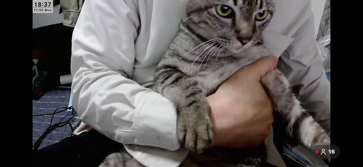 Vie animée様♡専用コーナー♪(๑ᴖ◡ᴖ๑)♪ E5%BF%97%E6%AD%A9%E3%81%A1%E3%82%83%E3%82%93