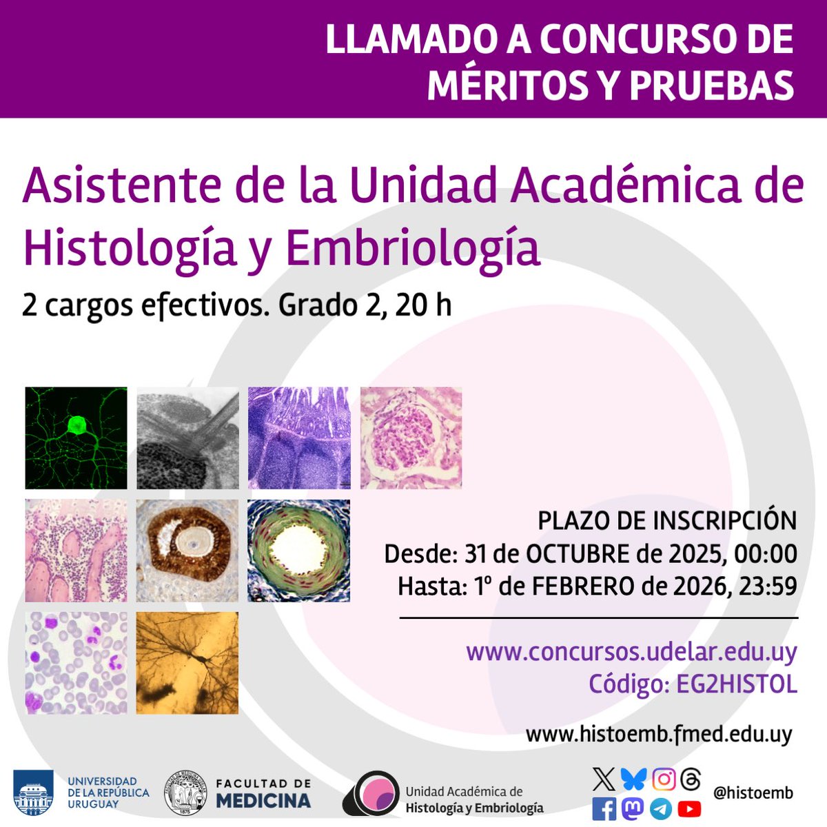 🚨 LLAMADO 🚨
Se abrió un llamado a concurso de MÉRITOS Y PRUEBAS para 2 cargos EFECTIVOS de Asistente (grado 2) de la Unidad Académica de Histología y Embriología

Inscripciones:  hasta el 1 de febrero de 2026

histoemb.fmed.edu.uy/noticias/2025/…