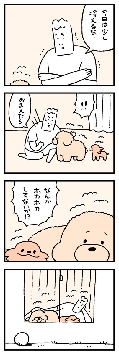 トイプードルとトイプードル18