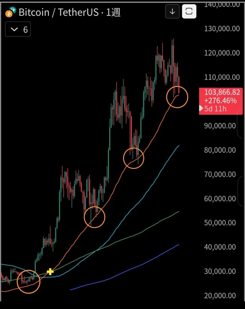 事実‼️ 最新情報💥#Bitcoin は2023年から2年間、週足50日移動平均線に支えられ続けています。 大丈夫、ビットコインは上がります🚀