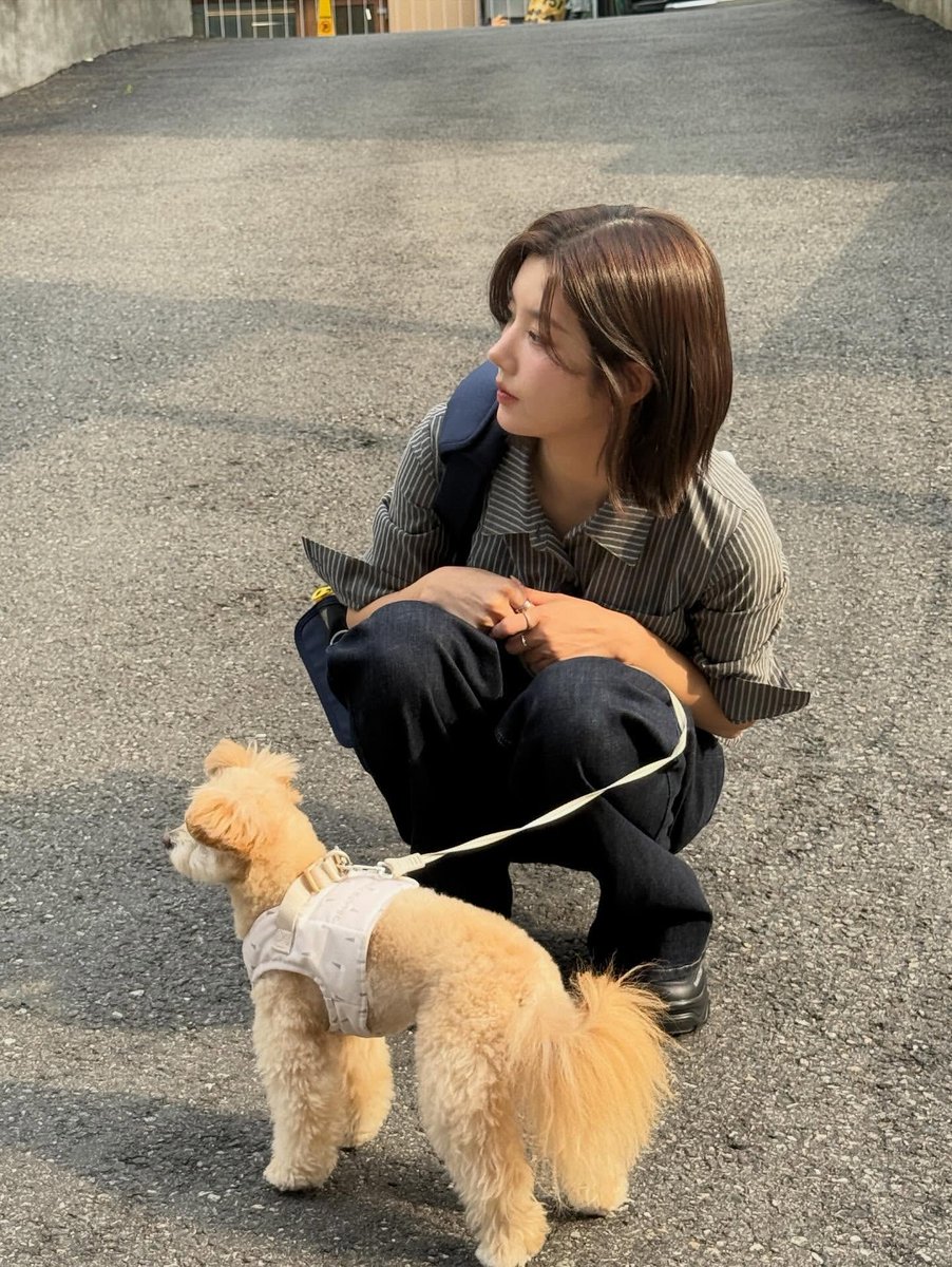 4月のカムバの時にプレゼントした、ジェラピケのハーネス使ってくれてる🐶🍦🤍ウンビちゃん…大好き🥹 #권은비