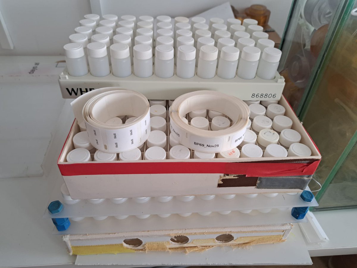 BialikOr's tweet image. It's labeling time.
(context, preparing vials for water sampling on an upcoming cruise, since we won't have time to do that on the boat) 
#OutToSea