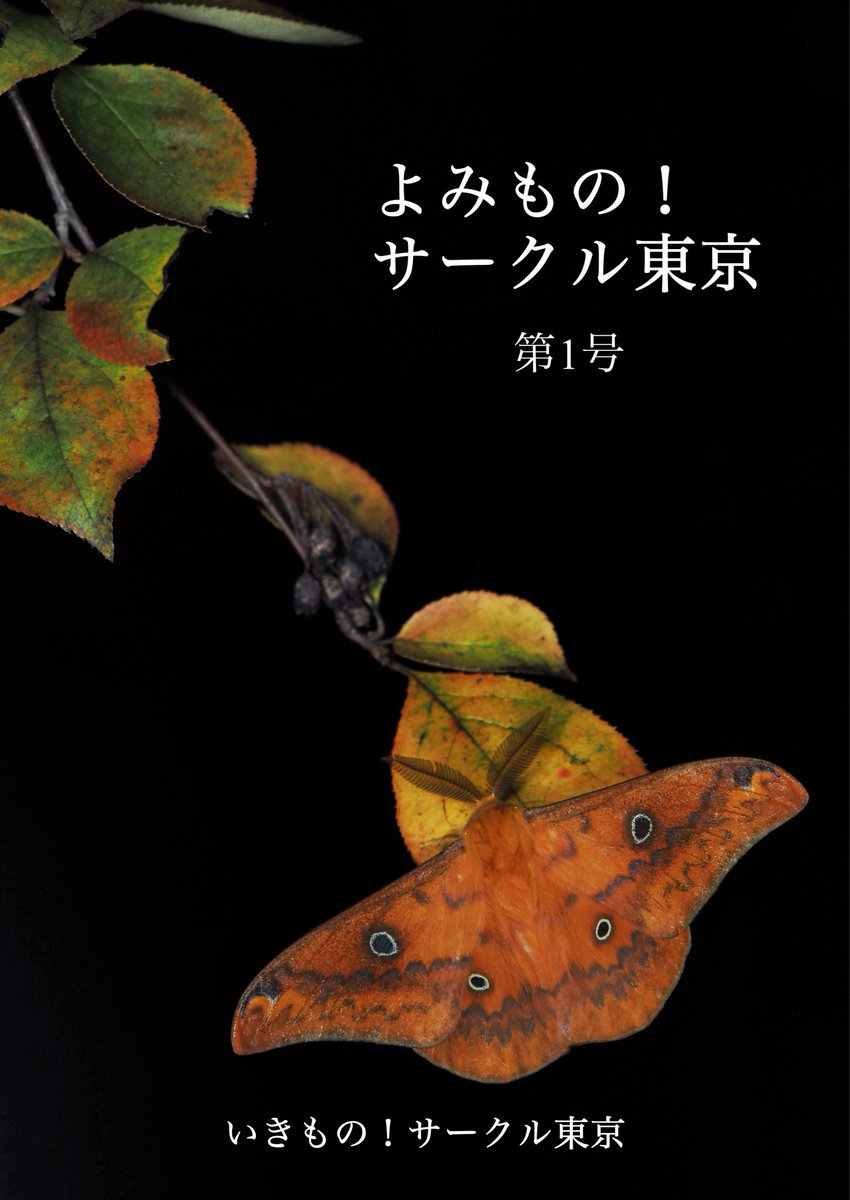 くぶしみ🐞 on X