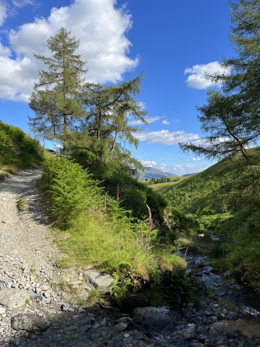 rly cool girl tweet media