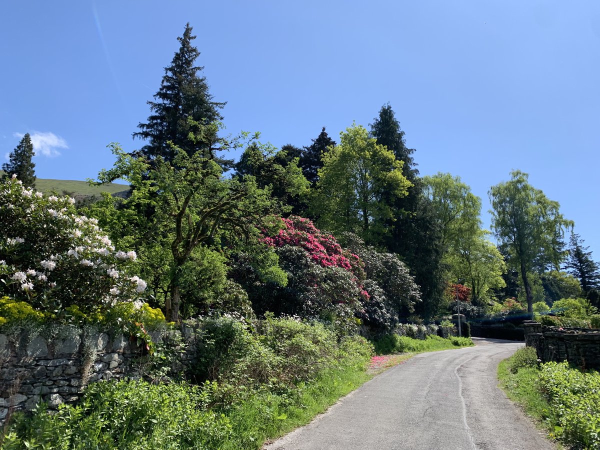 rly cool girl tweet media