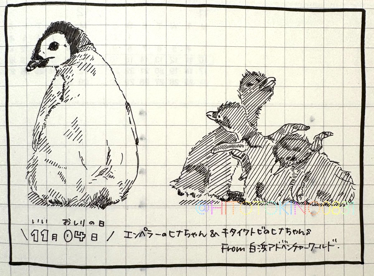 ひとと きの on X