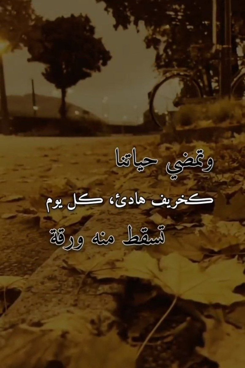 50__82 (@fati128ma) on Twitter photo 