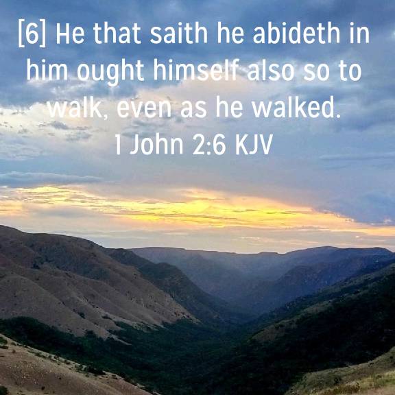 1 John 2:6 KJV
[6] He that saith he abideth in him ought himself also so to walk, even as he walked.

bible.com/bible/1/1jn.2.…