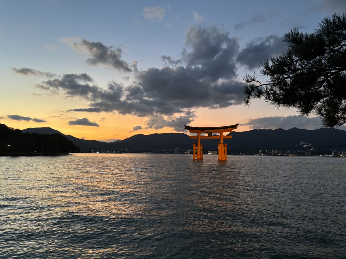 Aina|通訳案内士を目指している人 tweet media