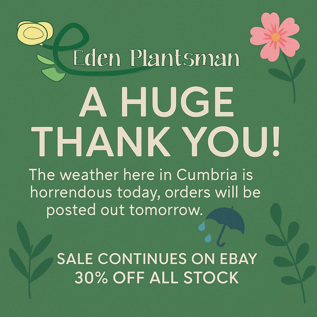 EdenPlantsman's tweet photo. #Edenplantsman #PlantSale #Cumbria #GardenPlants #Gardening #SupportSmallBusiness #Plantlovers #UKGardening  https://t.co/ilHFUF1e1d https://t.co/60Z5E77tT9