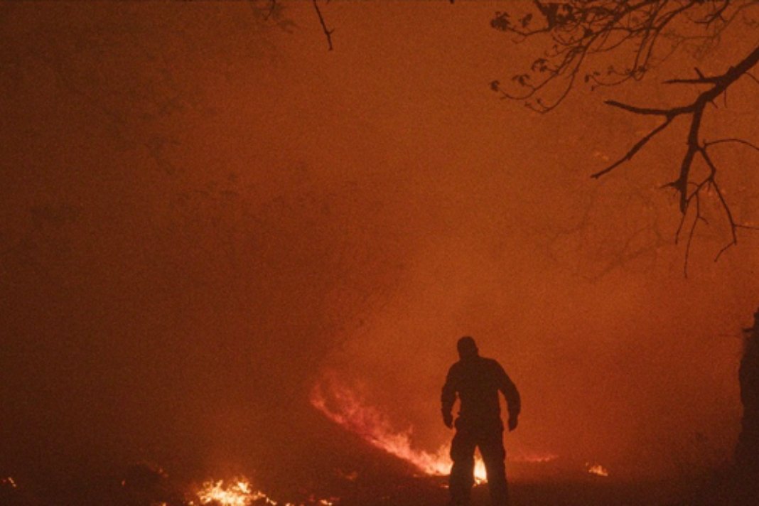 ZonaDocs tweet media