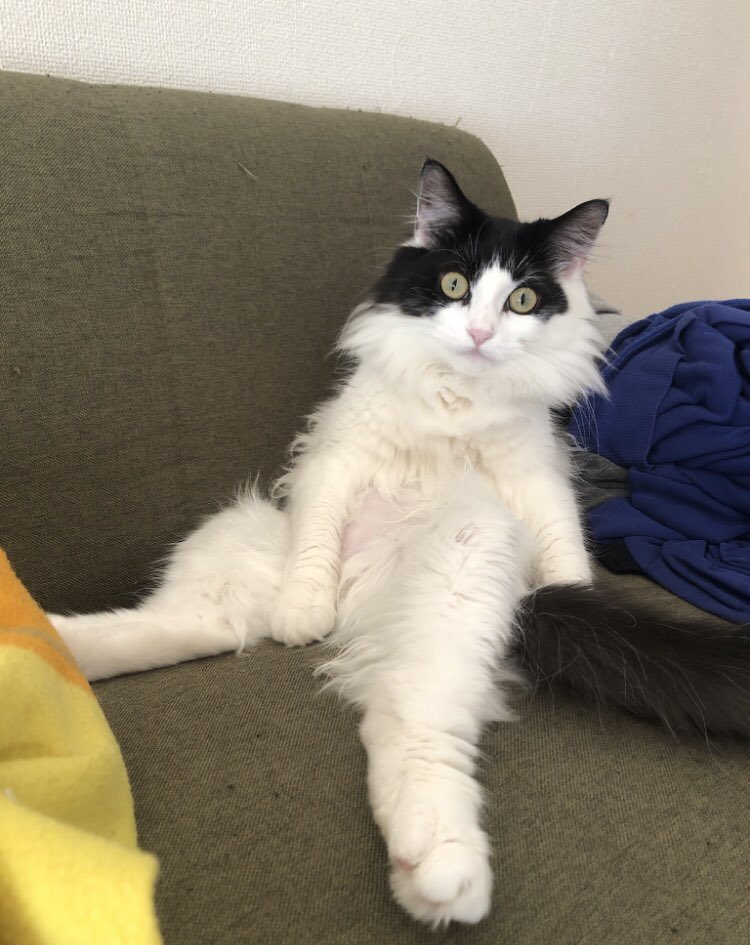 Yくん (@ZgMXZpdfdKYyscG) / Posts / X