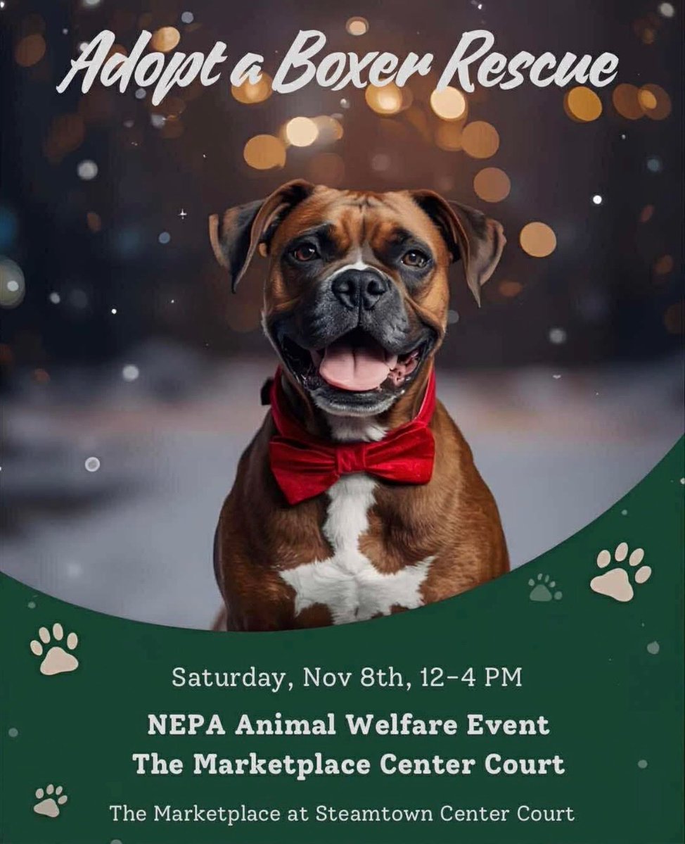 Come meet us at the Steamtown Mall in Scranton, PA this Sat 12-4. Get involved we can use your help! There will be boxer puppies and a kitten :) #adoptables #rescue #boxerdogs #adoptionevent #Scranton #NEPA  ⁦<a href="/MPatSteamtown/">MarketplaceSteamtown</a>⁩ ⁦<a href="/SocialScranton/">Social Scranton</a>⁩