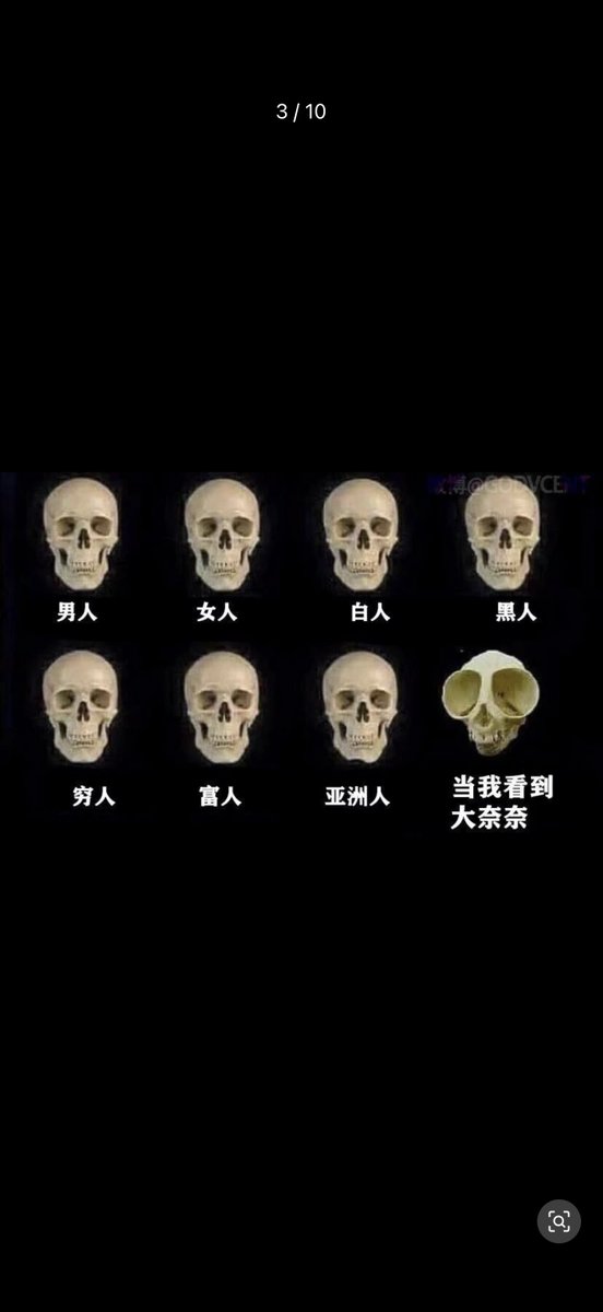 雲鳩 tweet media