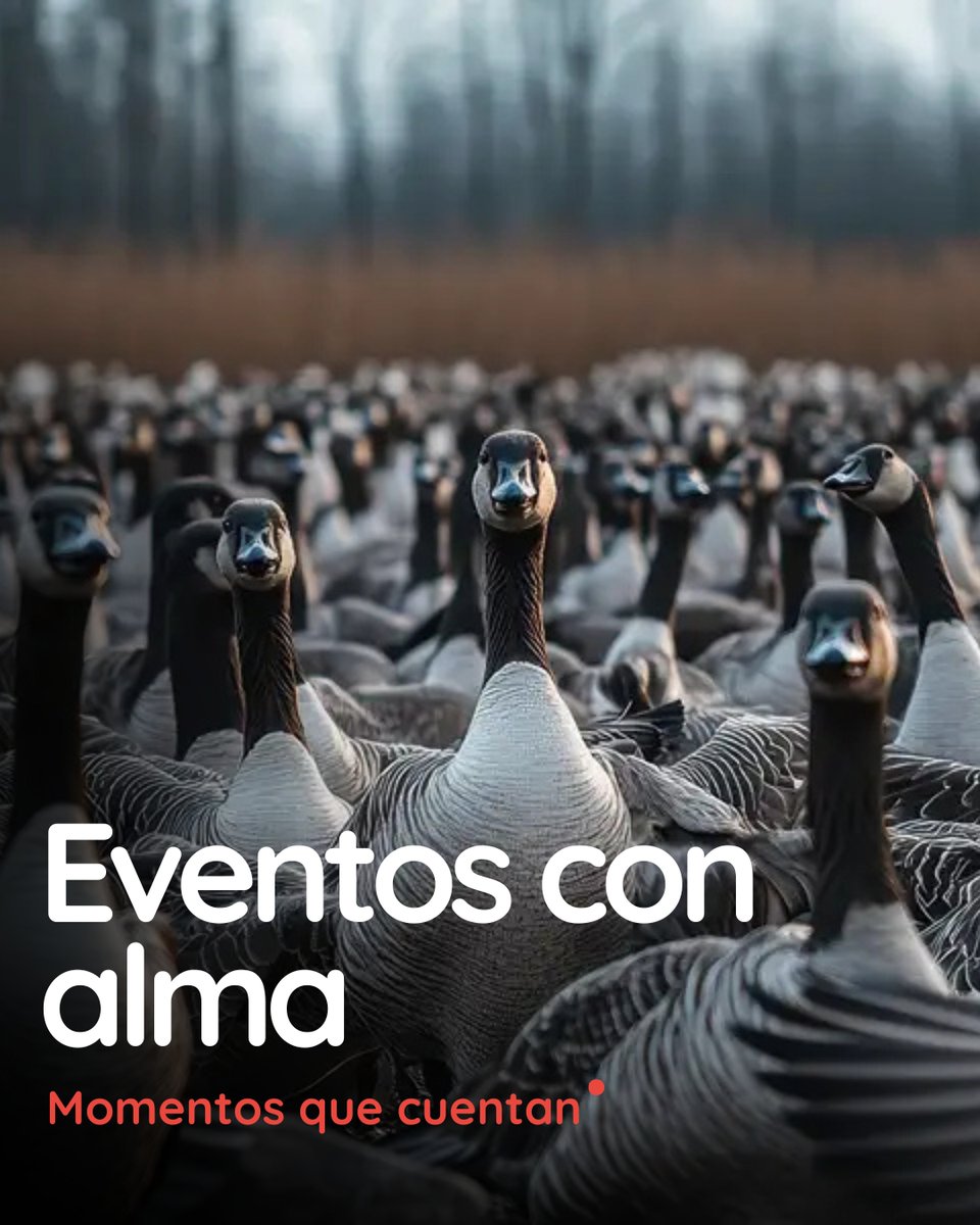 Momentos que cuentan

Diseñamos, organizamos y producimos eventos que transmiten la esencia de tu marca. 

#EstrategiaDeMarca #CampañasQueImpactan #MarketingConResultados  
#EstrategiaCreativa #MarketingIntegral