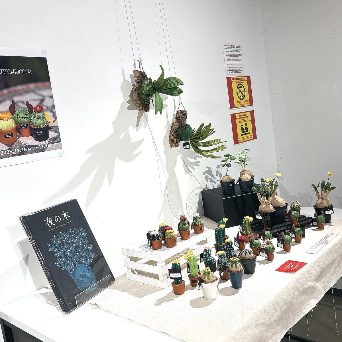 どんぐりアート　よっちページ よっち様専用】どんぐりアート どんぐり動物たちの夏休み - メルカリ