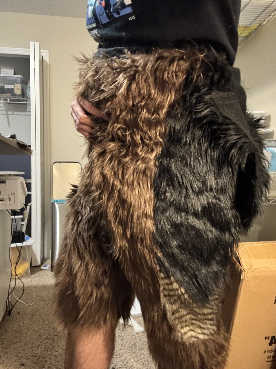 Gildryn the Golden Eagle 🦅 tweet media