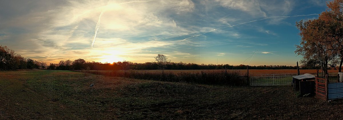 Good morning Patriots, from the homestead.