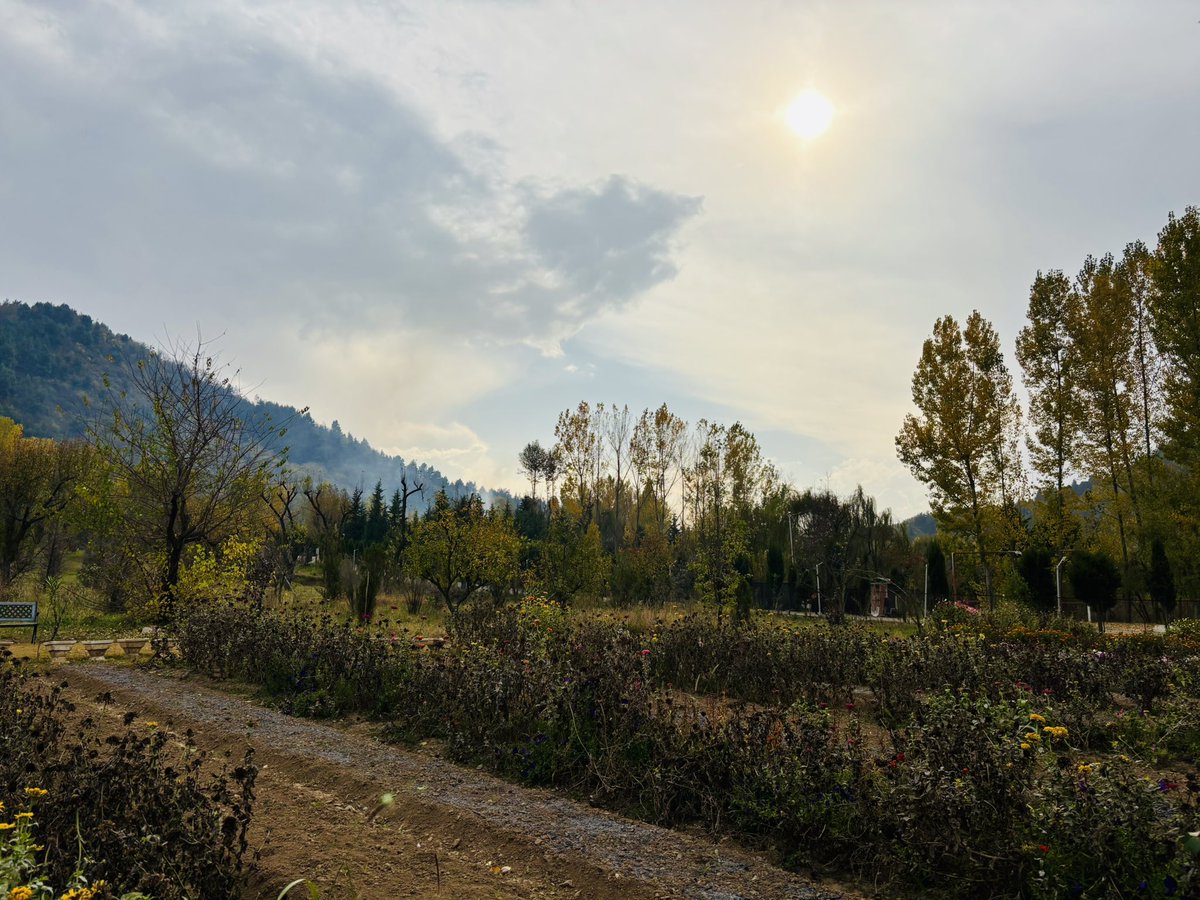 An autumn afternoon in Srinagar, under a soft, fading light.
