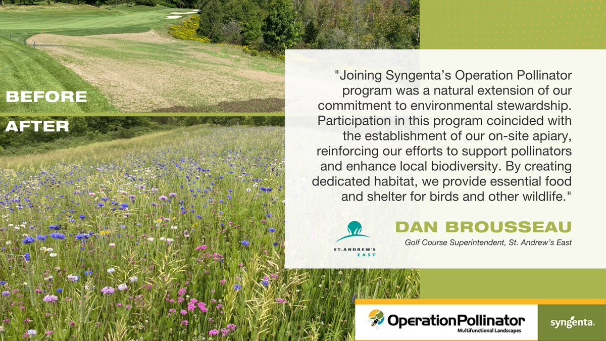 Golf courses provide great potential to create essential habitat and food sources for a range of native bees and pollinating insects.
St. Andrew’s East, @SAEastGREENS, shows us the results of their Operation Pollinator program.
Learn more - syngenta.ca/commitments/op…