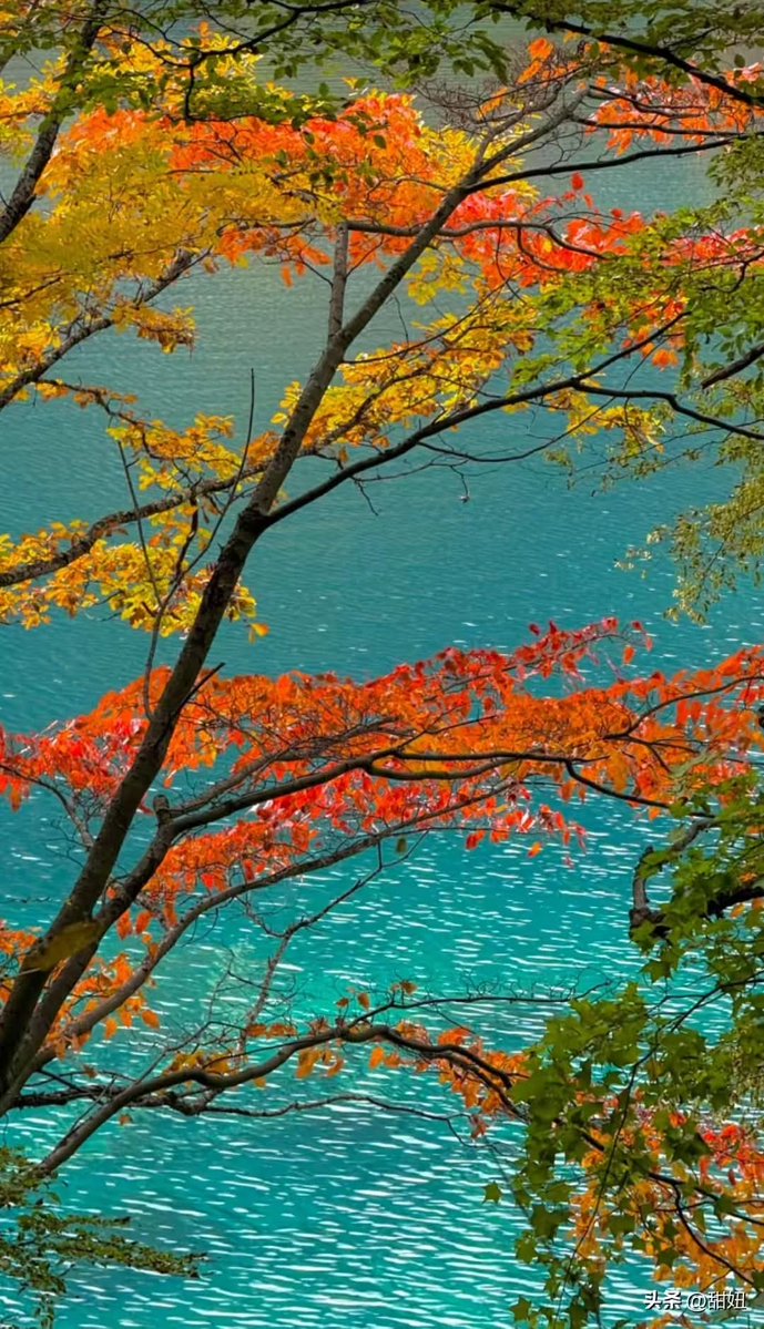 九寨沟的秋天，总是那么迷人。