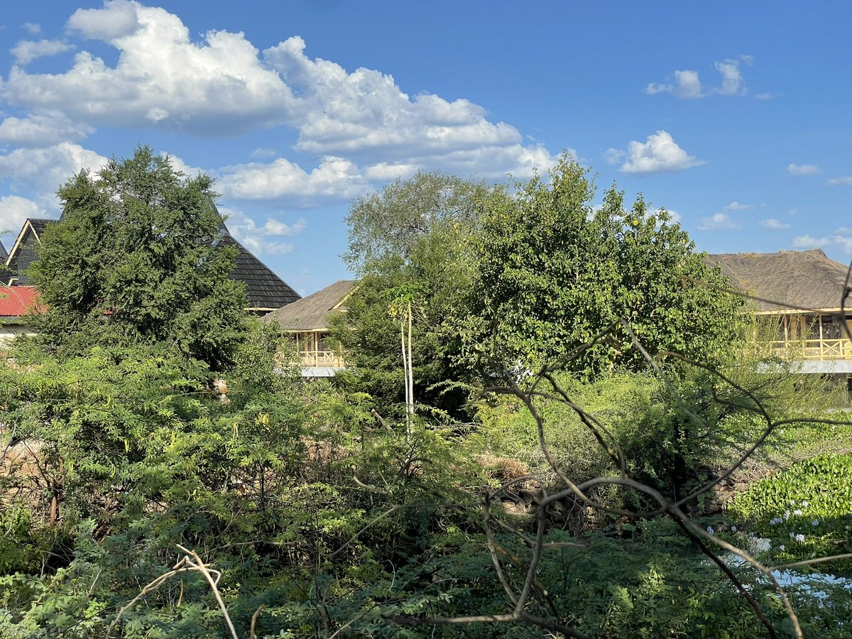 dinmusau's tweet photo. Lake Baringo waters have surged so much that hotels and lodges along its shores have being submerged, forcing businesses to shut and livelihoods to vanish. A stark reminder of climate impacts in the Rift Valley. #Deforestation #ClimateCrisis #ZeroTourism https://t.co/SlFFLfOEq5