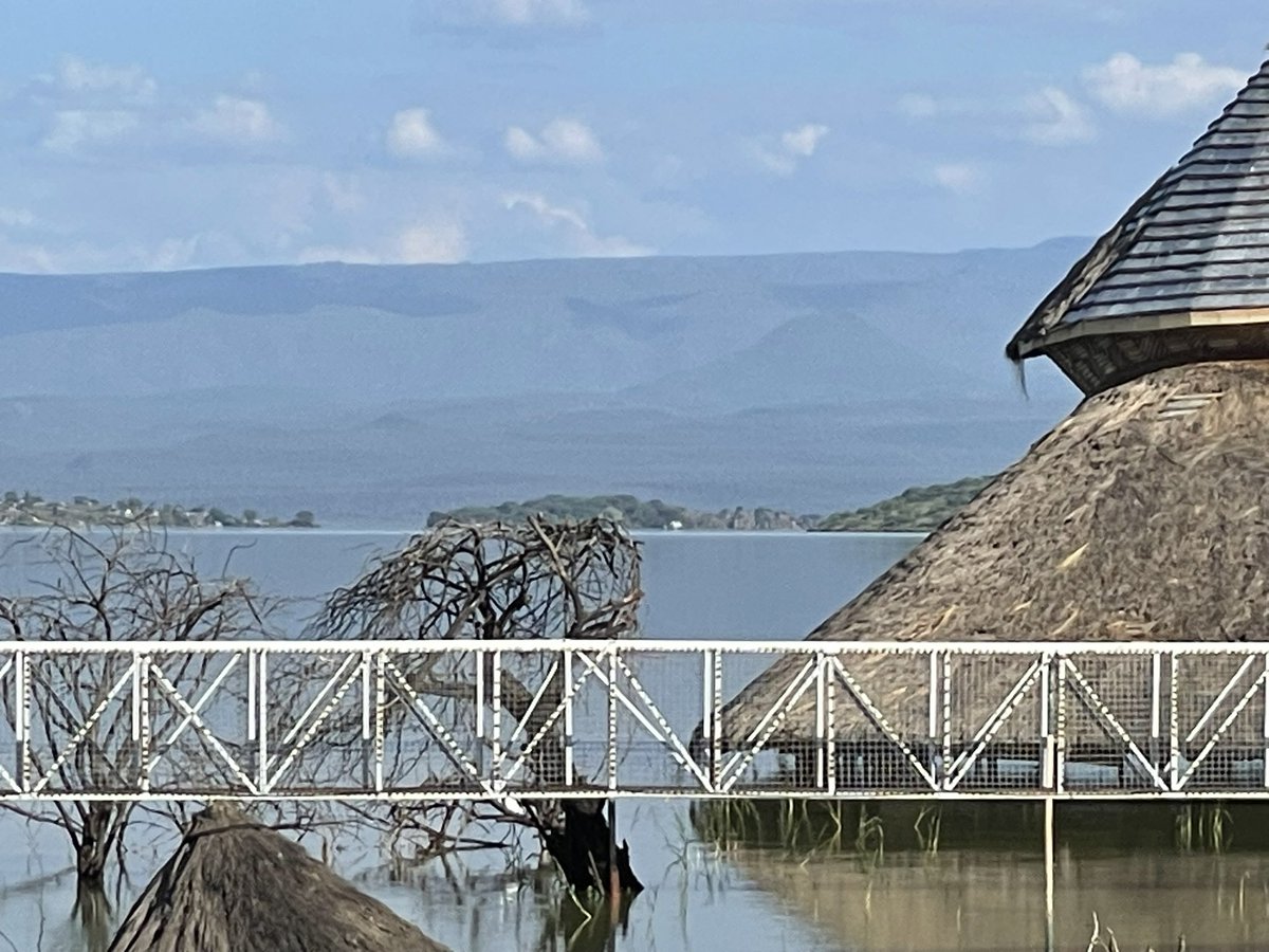 dinmusau's tweet photo. Lake Baringo waters have surged so much that hotels and lodges along its shores have being submerged, forcing businesses to shut and livelihoods to vanish. A stark reminder of climate impacts in the Rift Valley. #Deforestation #ClimateCrisis #ZeroTourism https://t.co/SlFFLfOEq5