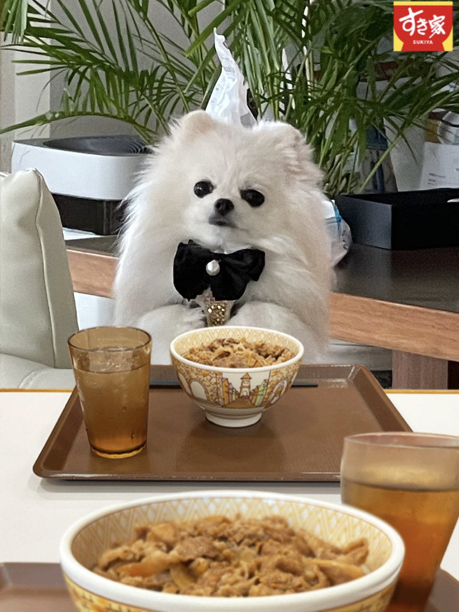 ポメころび様 068ポメころび様専用おまとめ商品 - メルカリ