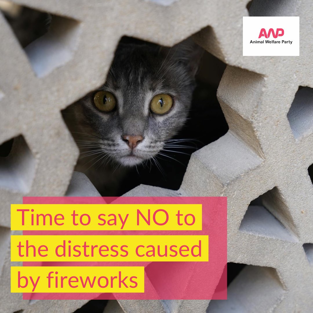 👎🏼As Nov. 5th rolls around, our thoughts are with all those living with the panic, fear &amp; distress caused by the unpredictable loud bangs, whistles &amp; screeches associated with #fireworks. 

🐎The suffering impacts not only people but millions of companion, wild &amp; farmed animals.