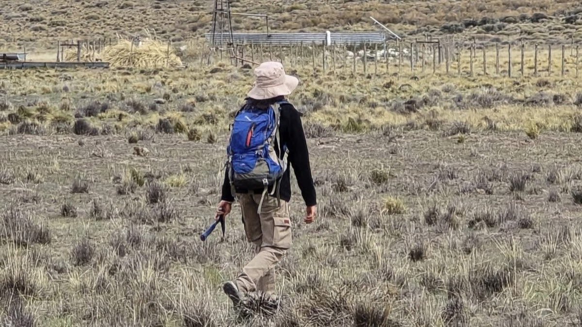 ESTUDIANTES DE GEOLOGÍA REALIZARON PRÁCTICAS EN COMALLO 📣

⛏️La vinculación permitió a los futuros profesionales fortalecer competencias en la caracterización geológica, mineralógica y estructural de los cuerpos pegmatíticos.

🗣️+Info: tinyurl.com/29rts5cd.