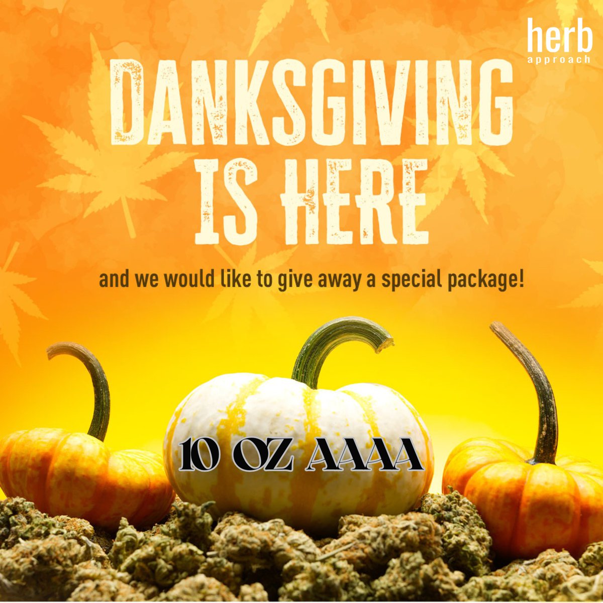 HerbApproach's tweet photo. 🔥 DANKSGIVING GIVEAWAY 🔥
To celebrate, we’re giving away 10 OZ of AAAA flower to one lucky stoner.
Wanna win the ultimate stash?
1.Follow @HerbApproach 
https://t.co/Yl5sSWOi7M + Share this post
3.Tag 2 buds
4.Bonus: Drop your dream strain in the comments 
Link in bio https://t.co/U9VeNVzr88