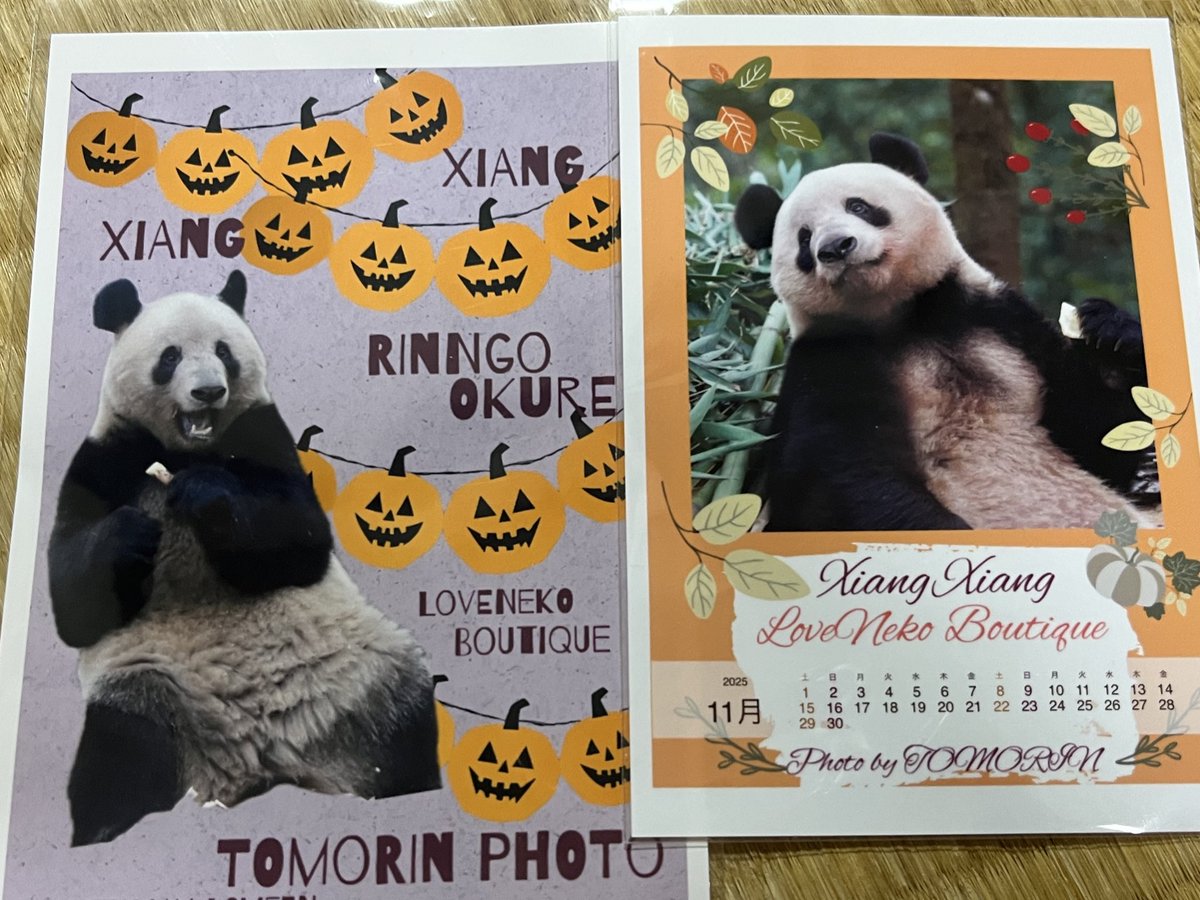 ともりん - Search / X