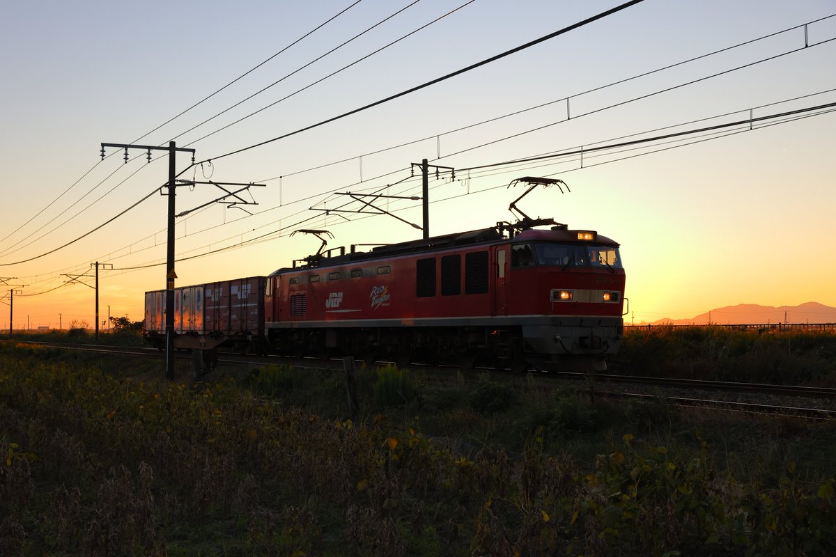 赤富士 赤富士 赤富士 赤富士 2001 Kawasaki ZX-11 | Bike-urious