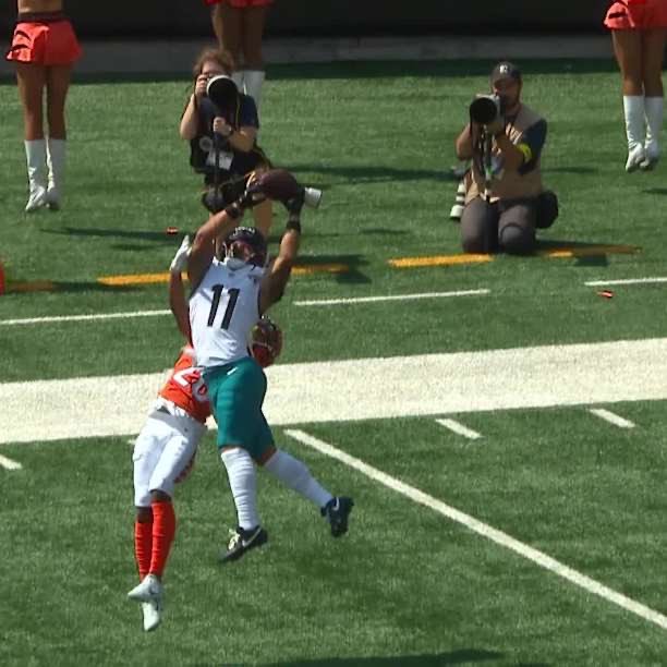 Joshua Cho tweet media