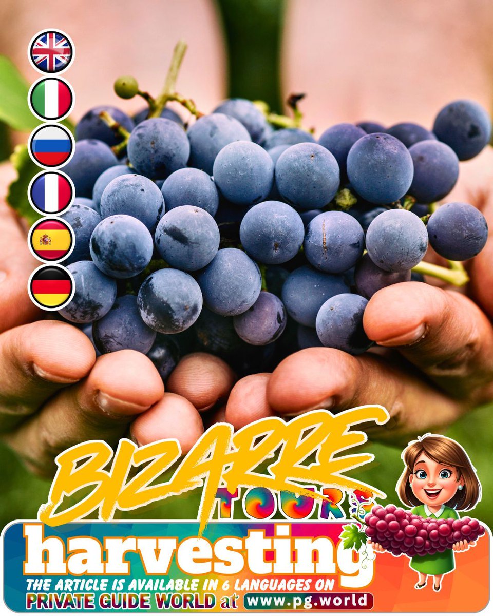 wwwpgworld's tweet image. Discover how Harvesting Tours: Work, Play, and Authentic Travel can transform your guiding business. This article reveals how to create immersive, seasonal experiences that connect travelers with nature and local culture pg.world/articles/harve…
#TourGuideTips #HarvestingTours