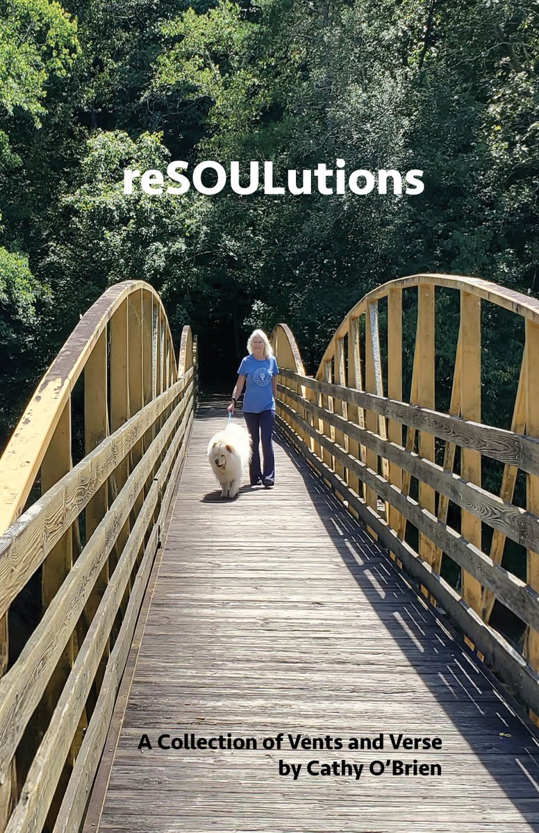 My newly released book reSOULutions, available thru trance-formation.com depicts how I coped by venting through poetry. Dick Cheney was among my most torturous controllers, and I vented emotion on Cheney published in reSOULutions and shared here tranceformationofamerica.locals.com/newsfeed