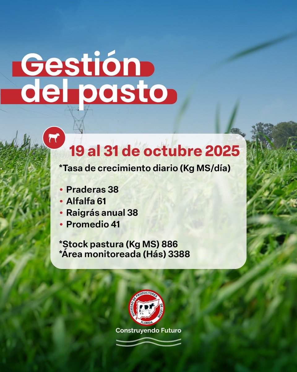 _splf's tweet image. Info #planverde
Gestión del pasto 🌱
🗓️ 19/10 al 31/10

#splf #servicios #planverde #propasto