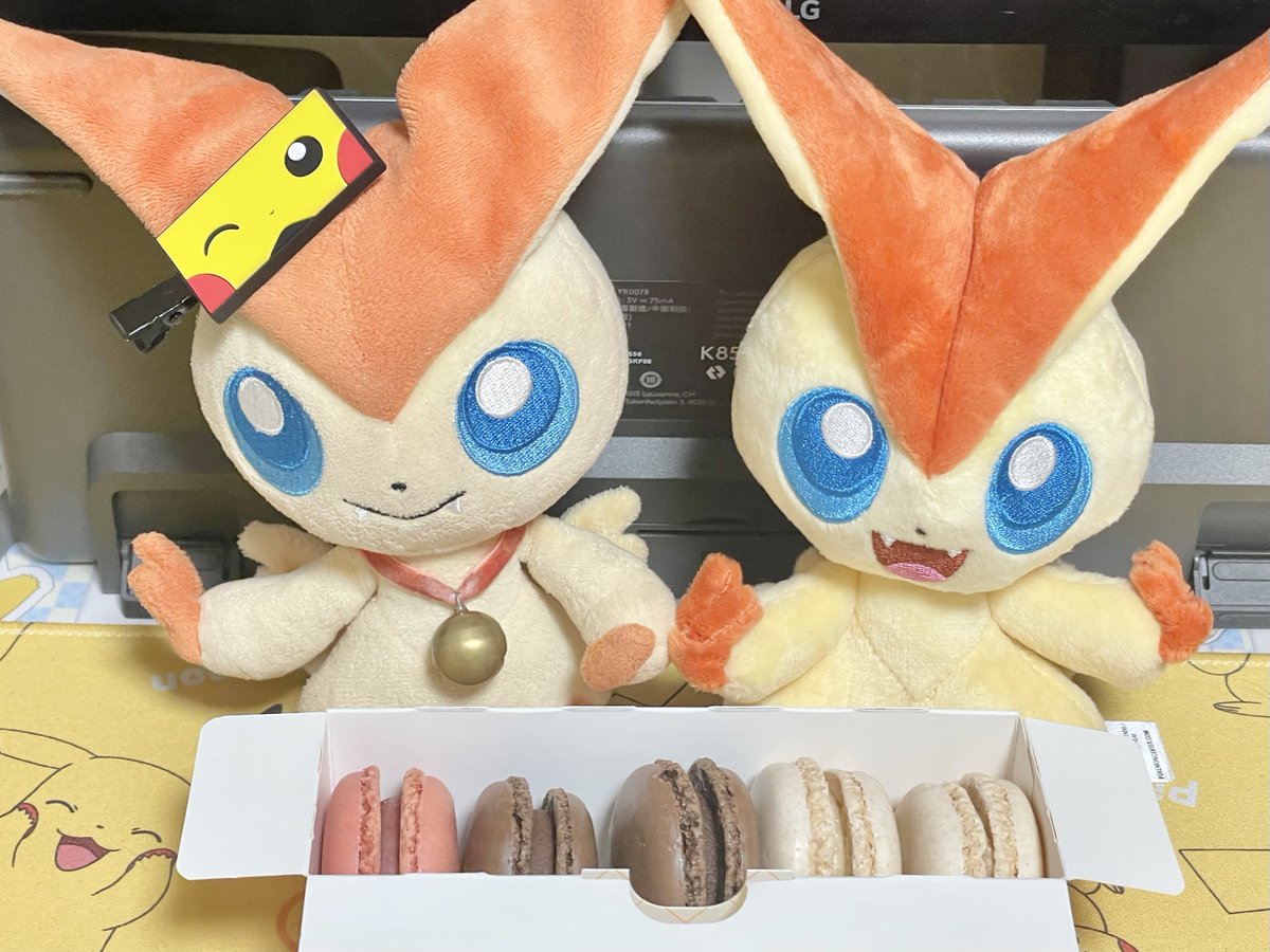 だい ほっしー⭐️ (@dai_hoshi0316) / Posts / X