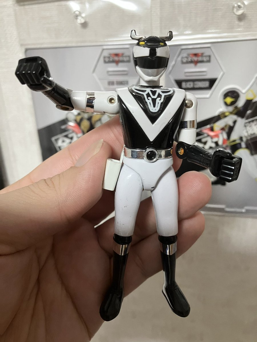 ライブマンのブラックバイソン、グリーンサイの兄弟が好きだったなぁ