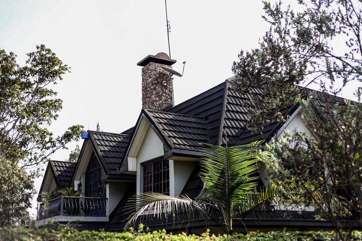 Let's bring back beauty into roofing.

Let's try all the designs you have in your mind and Pinterest.

Because why not?

Ngao🛡