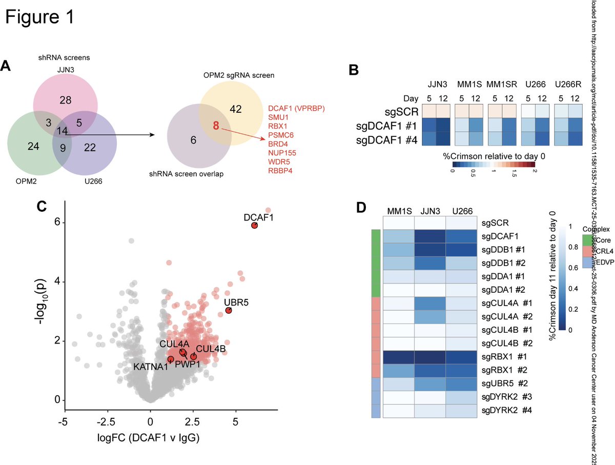 Robert Z. Orlowski tweet media