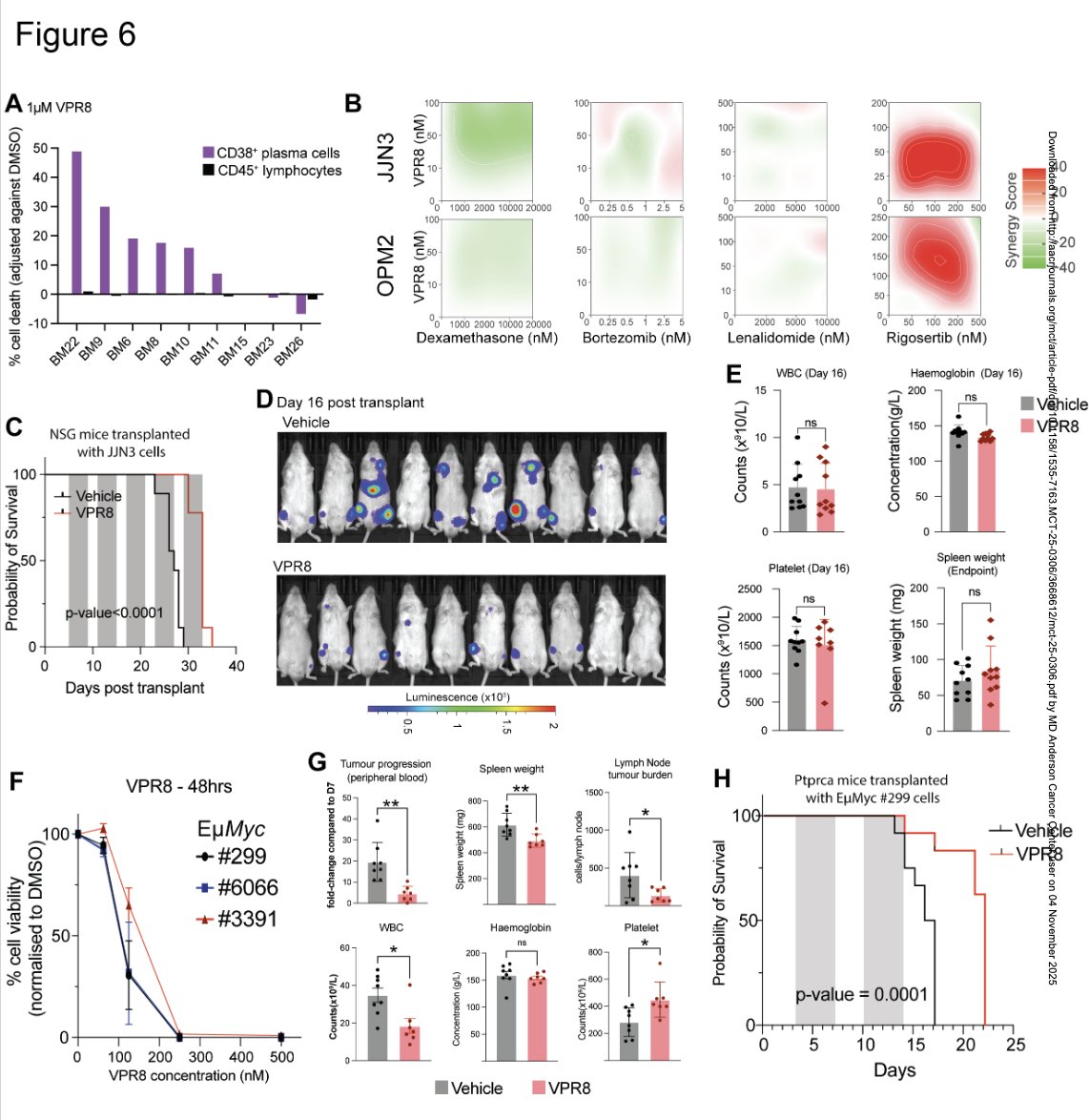 Robert Z. Orlowski tweet media