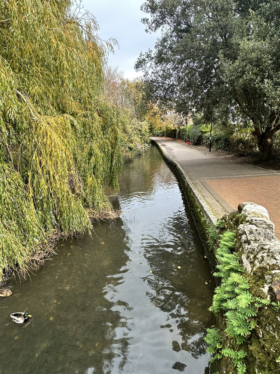 Christchurch in Dorset this afternoon #LandscapePhotography