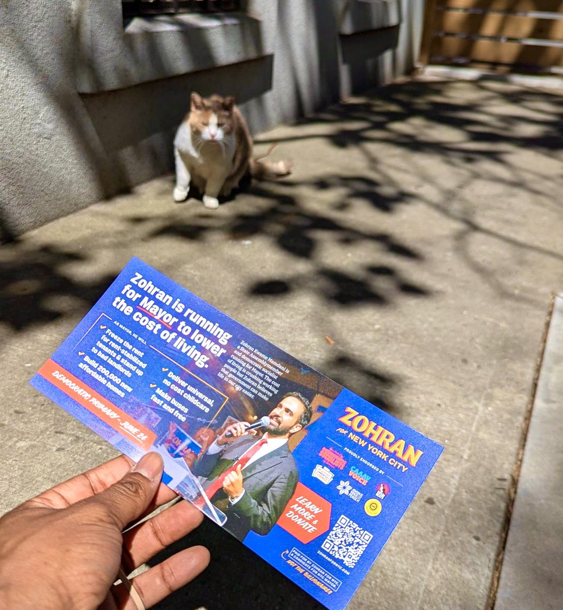 Good morning, New York City. 💙