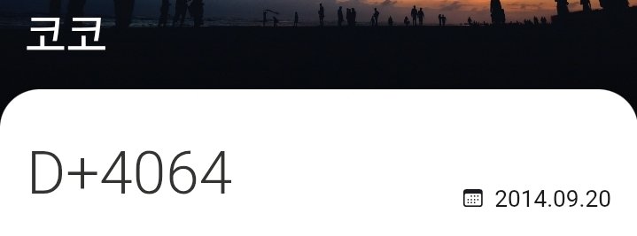 코코 입덕 추정일...