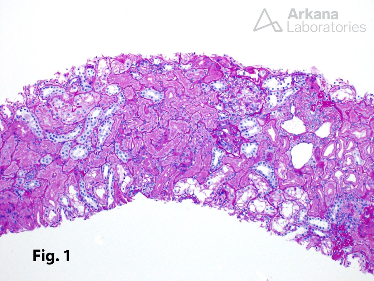 Arkana Laboratories tweet media